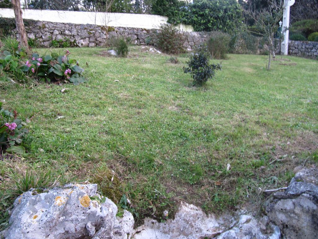 Pension Mariaje Celorio  Exteriér fotografie