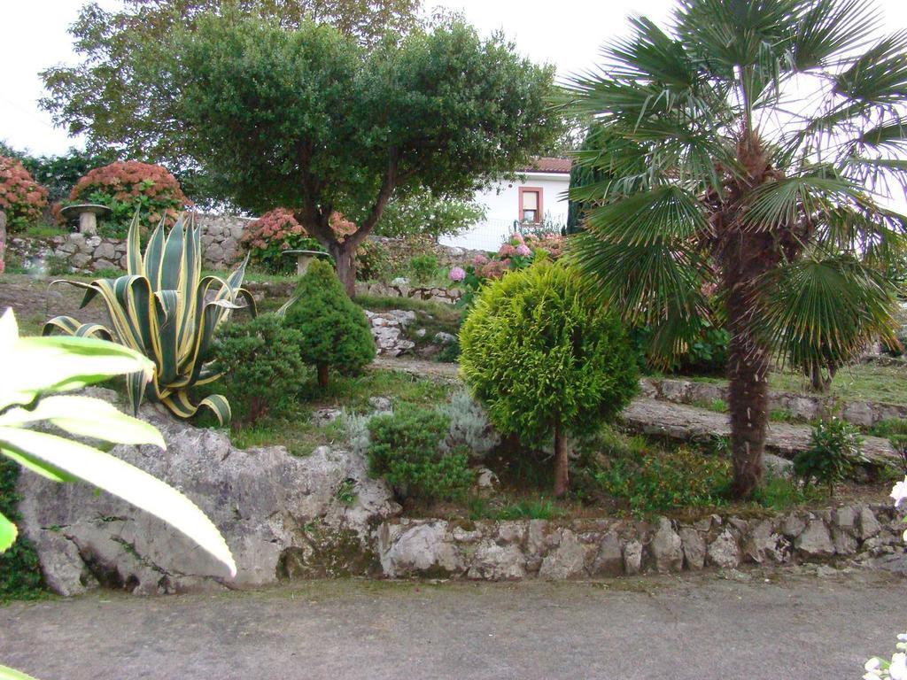 Pension Mariaje Celorio  Exteriér fotografie